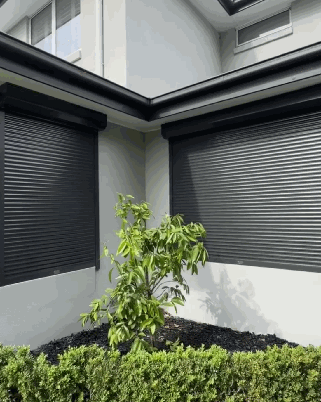 Completed shutter project